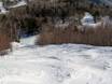 Ski resorts for advanced skiers and freeriding Vermont – Advanced skiers, freeriders Stowe