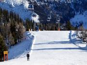 Blue Roßkopf Run