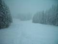 Slopes Whitefish Mountain Resort