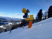 Snow cannon in the Carezza ski area