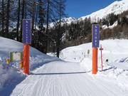 Tobogganing to Ftan