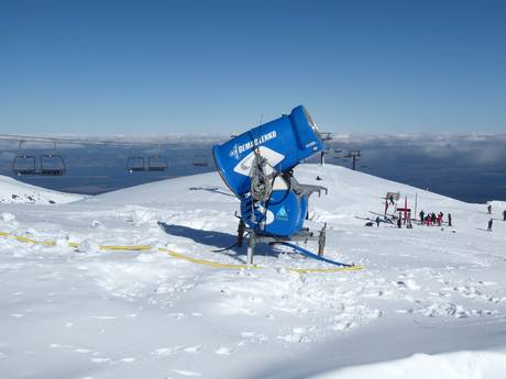 Snow reliability Manawatu-Wanganui – Snow reliability Tūroa – Mt. Ruapehu