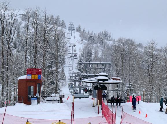 Timberline