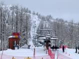 Timberline