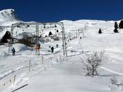 Radons I - T-bar