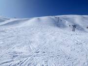 Freeride terrain at Männlichen