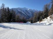 Valley run Tarlenta