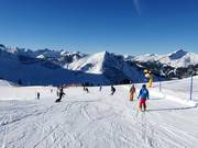Zwerenalp slope