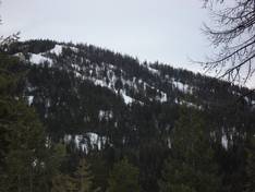 Photos Loup Loup Ski Bowl