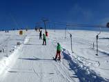 Wallerlift Monte Gogo