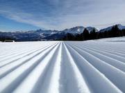 Perfect slope grooming in the Jochgrimm ski area