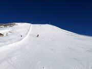 Black Panorama Run