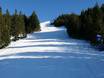 Ski resorts for advanced skiers and freeriding Außerfern – Advanced skiers, freeriders Neunerköpfle – Tannheim