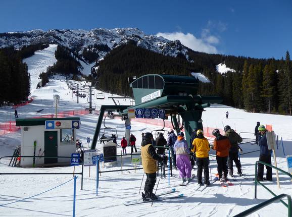 Cascade Chair