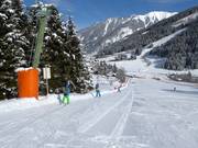 Tellerblitz - J-bar