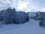 Open terrain at Kolbensattel – not marked, not controlled, not groomed, and not secured