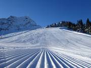 Slopes on the Harschbichl and below the Kitzbüheler Horn