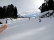 Easy slopes at Happy Schleppi