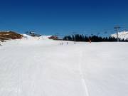 Easy slope in Samoëns