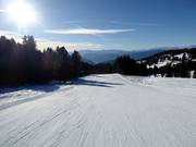Intermediate slope Doladizza