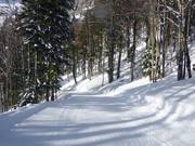 Easy ski trail Salzberg