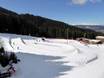 Family ski resorts Fiemme Mountains – Families and children Alpe Cermis – Cavalese
