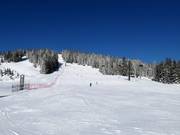 Mooslehen slope