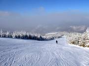 Easy slope Świerkowa from Małe Skrzyczne