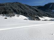 Cross-country skiing in the winter landscape of Gosau