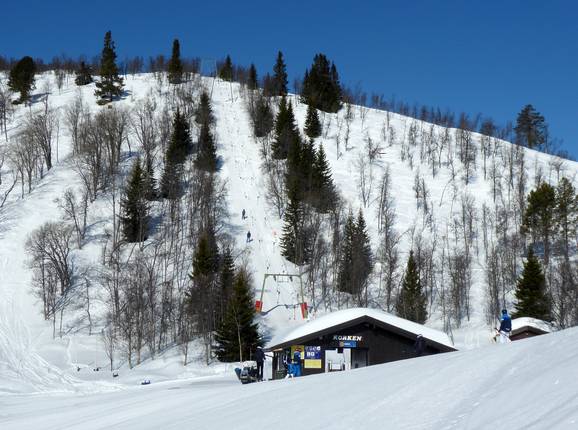 Korken