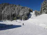 Easy slope Mooslehen