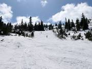 Fonfon slope
