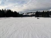 Easy slope in Super Morzine