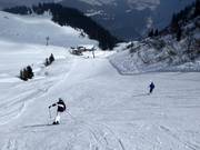 Palace-Run slope
