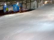 FIS downhill