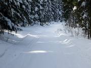 In the forest area of Altglashütten, several cross-country ski trails extend.