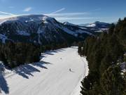 Maierl slope