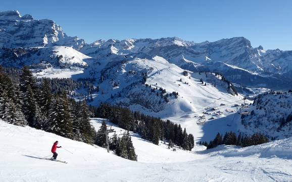 Skiing in the Canton of Waadt