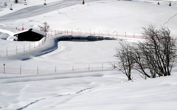 Snow reliability Val d'Arly – Snow reliability Espace Diamant – Les Saisies/Notre-Dame-de-Bellecombe/Praz sur Arly/Flumet/Crest-Voland
