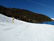 Valley run "Michl"