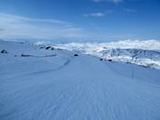 Intermediate slope Gransleden 1
