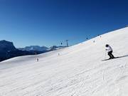 Belvedere slope