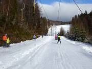 Rehberglift 2 - T-bar