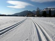 Cross-country trails in Kaiserwinkl
