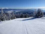 Dreiwiesen slope