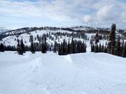 Grand Targhee Terrain Parks