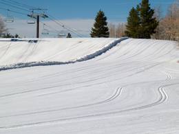 Beaver Creek