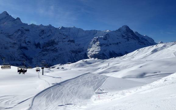 Skiing in Grindelwald