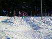 Family ski resorts Straubing-Bogen – Families and children Markbuchen/Predigtstuhl (St. Englmar)