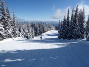 Whiskey Jack slope